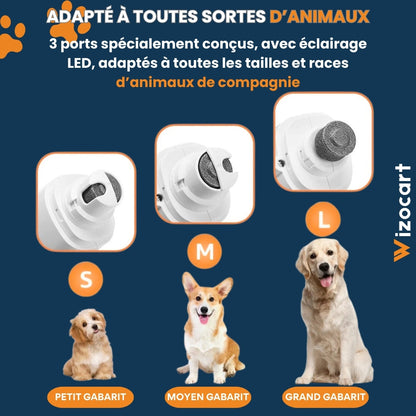 Ongle Coupe pour Chien et Chat Pratique 2 en 1