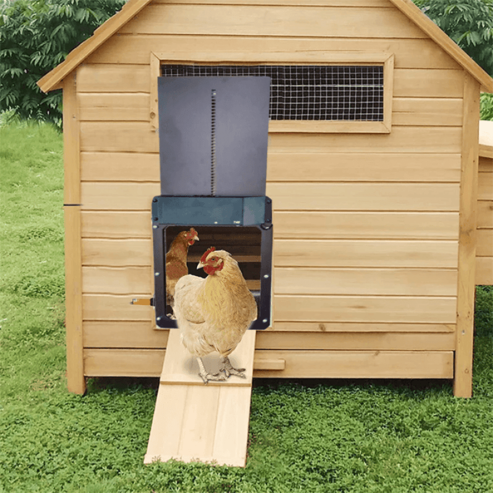 Marcherelle™ – Porte Automatique de Poulailler, Sécurisée et Facile à Installer