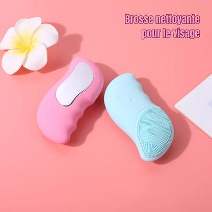Nettoyant Visage Ultrasonique Profond