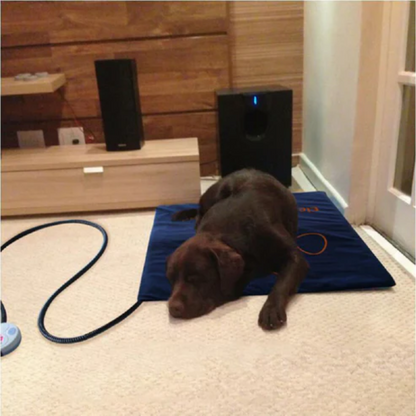 Tapis chauffant pour animaux de compagnie électrique doux